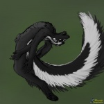 anthro fur male merging nude solo transformation unstableimagination mammal mephitid skunk 1:1