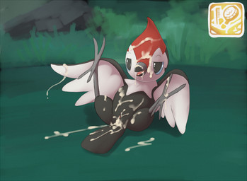 after_sex ambiguous_gender animal_genitalia avian_butt avian_feet bodily_fluids cloaca cum cum_covered cum_drip dripping feral genital_fluids genitals gui legs_up lying messy on_back presenting solo spread_legs spreading lizardlars nintendo pokemon avian bird generation_7_pokemon pikipek pokemon_(species) 2016