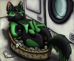 anus appliance balls basket blush clothing container dryer erection feet feral foot_fetish foot_in_mouth foot_lick foot_play foot_suck footwear genitals knot knotted_penis laundry laundry_machine laundry_room licking male paw_sucking penis socks solo sucking tongue washing_machine bluefluffy_fusky_(artist) benji_the_wusky canid canine canis domestic_dog husky hybrid mammal nordic_sled_dog spitz wolf wolfdog hi_res