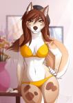 anthro beanie bra breasts canid canine canis clothed clothing digital_media_(artwork) female hat headgear headwear inside looking_at_viewer mammal mareena_tria navel panties shaded smile solo spefides underwear wide_hips wolf