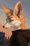 anthro brown_body brown_fur clothing ear_piercing fur gauged_ear hoodie looking_at_viewer male orange_eyes outside piercing sky skyline solo tan_body tan_fur topwear white_body white_fur ariesredlo puck_(puckfennec) canid canine fennec_fox fox mammal true_fox hi_res