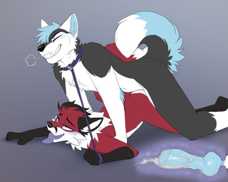 anal anal_penetration animal_genitalia animal_penis anthro blue_hair blue_penis bodily_fluids canine_genitalia canine_penis collar cum duo eyes_closed fur genital_fluids genitals gradient_background grey_background grey_body grey_fur hair internal knot male male/male open_mouth penetration penis red_body simple_background tongue tongue_out white_body white_fur jailbird elijah_husky zoru canid canine canis fox mammal wolf 2025 5:4 hi_res