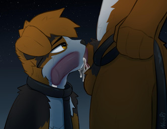 anthro balls black_body black_eyebrows black_fur black_nose bodily_fluids brown_body brown_eyes brown_fur collar cum cum_in_mouth cum_inside duo eyebrows fellatio fur genital_fluids genitals half-closed_eyes humanoid_genitalia humanoid_penis internal internal_oral leash leashed_collar male male/male narrowed_eyes night oral outside penile penis pink_tongue sex sky star starry_sky tongue white_body white_fur noori_(artist) canid canine canis domestic_dog mammal hi_res