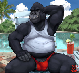 anthro barely_contained barely_contained_penis barely_visible_genitalia barely_visible_penis belly beverage clothing flaccid genitals male musclegut muscular penis poolside red_clothing red_speedo red_swimwear relaxing shirt sleeping slightly_chubby slightly_chubby_male solo speedo swimming_pool swimwear tank_top tight_clothing topwear tropical alphasabre ape gorilla haplorhine mammal primate hi_res