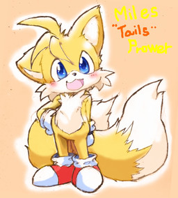 2_tails anthro blue_eyes clothing footwear gloves hand_on_hip handwear kemono male multi_tail open_mouth open_smile red_clothing red_footwear red_shoes red_sneakers shoes simple_background smile sneakers solo tail white_clothing white_gloves white_handwear young young_anthro young_male phantmail8 sega sonic_the_hedgehog_(series) miles_prower canid canine fox mammal 2023 full-length_portrait hi_res japanese_description portrait