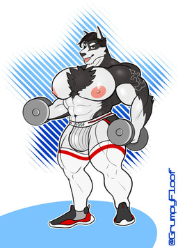 abs abstract_background anthro barazoku big_muscles big_nipples body_hair bulge chest_hair clothing dumbbell exercise footwear hair jockstrap knee_highs knee_socks legwear looking_at_viewer male muscular muscular_anthro muscular_male nipples one_eye_closed pecs shoes smile socks solo standing tattoo text tongue tongue_out underwear weightlifting weights wink workout grumpyfloof canid canine canis mammal wolf 2021 absurd_res hi_res url