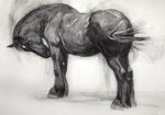 ambiguous_gender black_body feral mane simple_background solo white_background geordie_millar equid equine horse mammal charcoal_(artwork) monochrome traditional_media_(artwork)