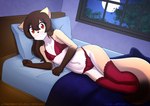 anthro bed bedroom bedroom_background blush bra breasts brown_body brown_fur brown_hair clothed clothing dakimakura female fur furniture gloves_(marking) hair lace_bra lace_panties lace_stockings lace_underwear legwear lingerie lying markings multicolored_body multicolored_fur navel night orange_eyes panties pillow presenting small_breasts smile solo tail tan_body tan_fur thigh_highs two_tone_body two_tone_fur underwear window erdfurry skyline_(comic) phal_(skyline) canid canine canis fox mammal zedian dakimakura_design hi_res