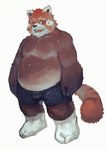 anthro belly biped bottomwear brown_body brown_fur clothing fur humanoid_hands male moobs orange_body orange_fur overweight overweight_male shorts simple_background solo white_background ramenbeny ailurid mammal red_panda 2015