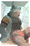 abs anthro areola beach bodily_fluids brown_body brown_fur clothing fur hair looking_away male muscular muscular_anthro muscular_male palm_tree plant sea seaside sitting solo sweat swimwear tree water white_hair biri lifewonders tokyo_afterschool_summoners tadatomo_(tas) canid canine canis domestic_dog mammal 2023 2:3 hi_res