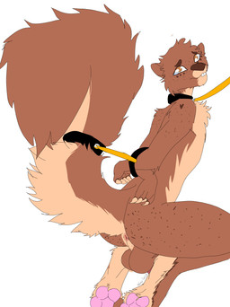 anthro anus auction balls bdsm black_collar bodily_fluids bound brown_balls brown_body brown_eyes brown_fur brown_hair brown_nose brown_tail cheek_tuft collar crouching crying facial_tuft fluffy fluffy_tail frown fur genitals hair hands_behind_back hands_tied kidnapping kneeling leash leash_pull leashed_collar looking_at_viewer male multicolored_body multicolored_fur nude nude_anthro nude_male pawpads perineum petplay pink_anus pink_pawpads restrained_arms roleplay sex_slave side_view simple_background slave slave_auction snout solo tail tan_body tan_claws tan_fur tan_tail tears tuft two_tone_body two_tone_fur two_tone_tail white_background gray_the_gay mammal rodent sciurid tree_squirrel absurd_res hi_res