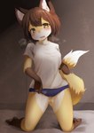 amber_eyes anthro asian_clothing biped blush bottomwear breasts breath brown_body brown_fur brown_hair buruma buruma_pull clothed clothing clothing_pull east_asian_clothing female fluffy fur hair holding_tail inside japanese_clothing kemono kneeling looking_at_viewer open_mouth shirt short_hair solo tail tan_body tan_fur topwear white_body white_fur kagarimachi_ame canid canine fox mammal 2019 absurd_res hi_res