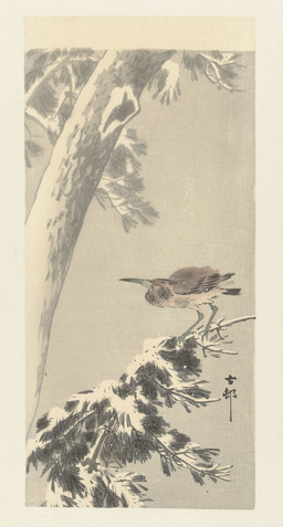 ambiguous_feral ambiguous_gender avian_feet beak biped bipedal_feral branch brown_body brown_feathers cjk_character evergreen_tree feathered_wings feathers feral leaf on_branch pine_tree plant side_view simple_background snow solo standing tail tail_feathers tree wings ohara_koson public_domain avian bird galliform old_world_quail phasianid quail 20th_century absurd_res ancient_art hi_res traditional_media_(artwork)