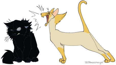 alternate_species ambiguous_gender annoyed black_body black_fur duo feral feralized fluffy fur quadruped simple_background white_background yellow_body yellow_fur segamastergirl my_hero_academia warriors_(book_series) present_mic shota_aizawa domestic_cat felid feline felis mammal 16:9 crossover hi_res widescreen