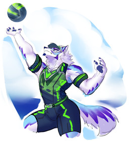anthro bottomwear bulge clothing facial_markings fur hat head_markings headgear headwear male markings muscular muscular_anthro muscular_male pawpads shorts solo sport visor_cap volleyball white_body white_fur yummi_yam_i lifewonders live_a_hero sadayoshi canid canine mammal hi_res