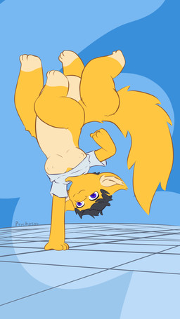 3_toes 4_fingers 4_legs big_tail black_hair blue_background bottomless breasts butt clothed clothing countershade_torso countershading dipstick_limbs feet female fingers fluffy fluffy_tail fur fur_tuft hair handstand inner_ear_fluff legs_in_air legs_up looking_at_viewer multicolored_body nipples orange_body orange_fur pose posed quadruped shirt shirt_only short_sleeved_shirt short_sleeves simple_background slightly_chubby smile solo tail tan_body tan_fur text toes topwear topwear_only tuft two_tone_body psychpsyo cameron_(psychpsyo) mammal mammal_taur taur 9:16 digital_drawing_(artwork) digital_media_(artwork) hi_res line_art signature