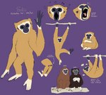 branch butt family female feral group male musical_note musical_symbol on_branch symbol text trio spoonfayse salisa ape gibbon haplorhine lar_gibbon mammal primate english_text model_sheet daughter_(lore) parent_(lore) parent_and_child_(lore) parent_and_daughter_(lore)