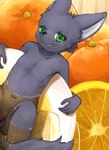 anthro balls black_body black_ears black_face black_fur black_nose black_tail cheek_tuft detailed_food facial_tuft food fruit fur genitals glistening glistening_eyes green_eyes kemono knee_up leaning leaning_backward looking_at_viewer male narrowed_eyes navel nude open_mouth orange_(fruit) partially_submerged penis plant shota solo tail tuft white_inner_ear young young_anthro naegi nifram_logan canid canine canis mammal wolf 2019 detailed digital_media_(artwork) digital_painting_(artwork)