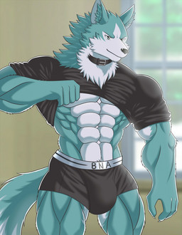 abs anthro biceps big_bulge blue_body blue_fur boxers_(clothing) bulge clothed clothing clothing_lift collar deltoids fur male muscular muscular_anthro muscular_male quads shirt shirt_lift solo topwear triceps underwear white-snow-wolf brand_new_animal studio_trigger shirou_ogami canid canine canis mammal wolf 2020 hi_res