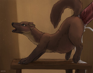abdominal_bulge animal_genitalia animal_penis blush bodily_fluids brown_body brown_fur claws clothing cock_hanging cock_warmer cum cum_in_vagina cum_inflation cum_inside deep_penetration disembodied_penis drooling duo ears_back equine_genitalia equine_penis eyelashes fangs female female_focus female_penetrated feral feral_penetrated fleshlight_position fur genital_fluids genitals inflation inside large_penetration living_condom male male/female male_penetrating male_penetrating_female open_mouth penetration penile penile_penetration penis penis_clothing penis_in_vagina pivoted_ears quadruped raised_tail ridiculous_bulge ridiculous_fit saliva sex size_difference smaller_penetrated solo_focus stable standing tail teeth tight_fit toe_claws vaginal vaginal_penetration yellow_eyes difetra penelope_(difetra) gulonine mammal marten mustelid musteline pine_marten
