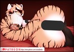 anthro breasts butt clothed clothing eyewear female fur hair looking_at_viewer mostly_nude orange_body orange_fur presenting solo text voicedbarley arknights hypergryph studio_montagne waaifu_(arknights) felid mammal pantherine tiger censored hi_res url