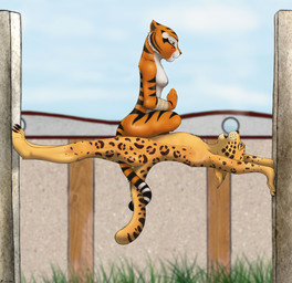 ambiguous_penetration anthro arm_wraps breasts duo entwined_tails exercise female hands_together high_place male male/female nipples nude obscured_penetration penetration praying_hands sex sitting stretching stripes tail tail_coil training wraps z-lion dreamworks kung_fu_panda master_tigress felid jaguar mammal pantherine tiger
