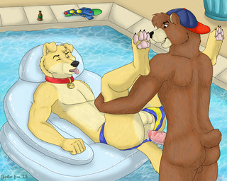 anal anthro clothing duo feet hindpaw male male/male male_penetrated male_penetrating male_penetrating_male paws penetration pool_float sex speedo swimming_pool swimwear tail water jupiter_fox bear canid canine canis domestic_dog mammal 5:4