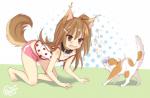 accessory all_fours angry blush bottomwear brown_eyes brown_hair clothing collar dog_tail duo fangs feet female hair hair_accessory hairpin hindpaw long_hair open_mouth paws ponytail scared shorts side_ponytail teeth wolf_tail byulzzi_mon animal_humanoid canid canid_humanoid canine canine_humanoid canis dog_humanoid domestic_cat domestic_dog felid feline felis humanoid mammal mammal_humanoid wolf wolf_humanoid hi_res