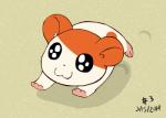 3_toes :3 big_eyes big_head blinking feet footprint fur male nude orange_body orange_fur running sand smile solo toes toony white_body white_fur cslucaris hamtaro_(series) hamtaro cricetid hamster mammal rodent 2014 animated loop low_res short_playtime