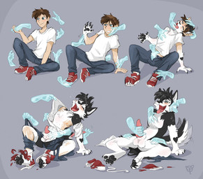 4_toes 5_fingers after_transformation animal_genitalia animal_penis anthro arm_markings assisted_exposure athletic athletic_anthro athletic_human athletic_male balls base_two_layout becoming_erect belly_rub biped black_body black_claws black_fur black_markings black_nose black_pawpads blue_eyes blush bottomwear brown_hair canine_genitalia canine_penis caressing caressing_arm caressing_face cheek_tuft chest_tuft claws clothed clothing clothing_scraps countershading crotch_fondling curious cute_fangs denim denim_bottomwear denim_clothing destroyed_clothing digitigrade disembodied_hand erection eyes_closed facial_tuft fangs feet finger_claws fingers fluffy fluffy_fur fluffy_tail fondling foot_grab footwear fur fur_growth genitals ghost_hand gloves_(marking) grade grey_background grope group growth hair hair_to_fur hand_holding hand_on_arm hand_on_chest hand_on_face hand_on_foot hand_on_ground hand_on_head hand_on_penis hand_on_sheath hand_on_tail handjob happy head_back head_tuft heart_(marking) heavy_petting human_to_anthro imminent_transformation inner_ear_fluff jeans knot knotted_penis leaning leaning_backward lipsticking logo looking_at_hand looking_at_own_hand looking_pleasured male markings masturbation mid_transformation motion_lines multicolored_body multicolored_fur narrowed_eyes neck_tuft nude open_bottomwear open_clothing open_mouth open_pants pants partially_clothed pawpads paws penile penile_masturbation penis penis_grab petting pink_penis pivoted_ears plant plantigrade_to_digitigrade retracted_sheath sex sharp_teeth sheath sheath_play shirt shocked shoe_burst shoes simple_background sitting smile snout snout_growth solo_focus species_transformation spread_legs spreading surprised t-shirt tail tail_grab tail_growth tail_motion tail_pull tailwag tearing_clothing teeth toe_claws toes tongue tongue_out topwear torn_bottomwear torn_clothing torn_jeans torn_pants torn_shirt torn_shoes torn_t-shirt torn_topwear transformation transformation_sequence tuft two_tone_body two_tone_fur underwear underwear_down undressing white_body white_fur wide_eyed worried pineconepaladin hiero_(hierohusky) canid canine canis domestic_dog human husky mammal nordic_sled_dog spitz 2025 artist_logo digital_drawing_(artwork) digital_media_(artwork) hi_res sequence shaded smaller_version_at_source