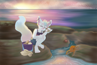 ambiguous_gender anthro beach oddly_wholesome sea smile solo sunset tide_pool water pyroashes aquatic canid canine cephalopod coleoid fennec_fox fox mammal mollusk octopodiform octopus true_fox absurd_res colorful_theme hi_res
