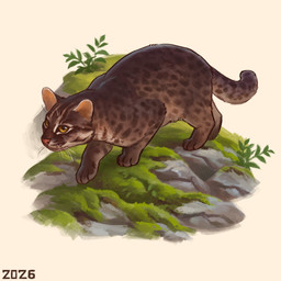 ambiguous_gender belly brown_body brown_fur brown_spots feral fur grass paws pink_nose plant quadruped rock short_fur simple_background solo spots stalking tail whisker_spots whiskers white_background white_belly yellow_eyes alexpahomov felid feline iriomote_cat leopard_cat mammal prionailurus 1:1 2026 digital_media_(artwork) digital_painting_(artwork) painting_(artwork)