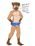 anthro anthrofied ball_stubble balls barefoot blue_briefs blue_clothing blue_eyes blue_underwear briefs briefs_only brown_body brown_fur brown_hair circumcised clothed clothing crotchless_clothing crotchless_underwear dialogue feet finger_in_underwear flaccid fur genitals hair holding_clothing holding_object holding_underwear humanoid_genitalia humanoid_penis male navel nipples open_mouth penis penis_out_of_underwear penis_poking_out pink_nose pokemorph pubes sharp_teeth simple_background solo tan_body tan_fur teeth teeth_showing text tongue_showing topless underwear underwear_only white_background white_seam_briefs y-fronts fuze nintendo pokemon ricky_(fuze) generation_7_pokemon pokemon_(species) rockruff 3:4 english_text hi_res