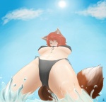 anthro beach bikini breasts camel_toe clothed clothing cloud female looking_at_viewer low-angle_view nipple_outline outside quadruped seaside skimpy sky solo swimwear tail two-piece_swimsuit under_boob water naaby canid canine fox mammal absurd_res hi_res