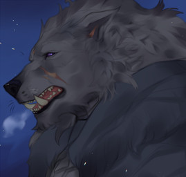 anthro cloak clothing fangs fur grey_body grey_fur looking_aside male night open_mouth purple_eyes scar sky solo star starry_sky teeth whiskers ariyakonsuay elden_ring fromsoftware blaidd_(elden_ring) canid canine canis mammal wolf hi_res