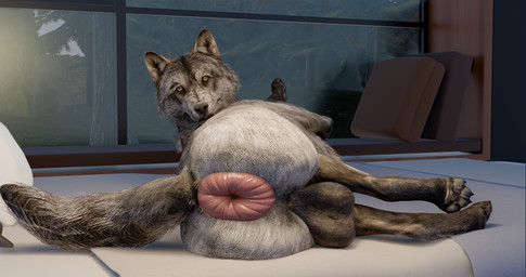 anus backsack balls bedroom big_anus feral genitals huge_anus hyper hyper_anus looking_at_viewer male puffy_anus solo dummywolf wolf_(call_of_duty) canid canine canis mammal wolf 256:135 3d_(artwork) 4k absurd_res digital_media_(artwork) hi_res