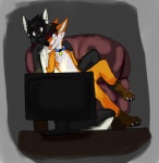 anthro black_body black_fur black_hair collar cuddling duo electronics fur hair loveseat male male/male paws television butt-fluff ash_harden nanabi_ashiro canid canine canis fox hybrid mammal mephitid skunk wolf