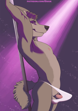 anthro areola balls biped black_nose blurred_background brown_eyes bulge clothed clothing dancing detailed_bulge erection eyebrows fluffy fluffy_tail fur genital_outline genitals grey_body grey_fur hair inside light looking_at_viewer male mostly_nude penis penis_outline pole pole_dancing pose purple_light raised_arm side_view solo standing stripper tail tenting text thong topless underwear shiuk canid canine canis mammal wolf 2019 absurd_res digital_drawing_(artwork) digital_media_(artwork) hi_res lighting pinup url