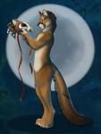 anthro beak biped bone brown_body brown_fur fur hair male moon night nude outside skull solo standing purra avian bird felid mammal 2016