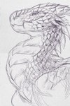 ambiguous_gender feral horn mouth_closed scales side_view simple_background solo famir mythology dragon mythological_creature mythological_scalie scalie hi_res monochrome sketch traditional_media_(artwork)