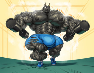 5_fingers abs anthro areola balls biceps big_balls big_bulge big_muscles big_pecs black_body black_nipples blue_bottomwear blue_clothing blue_footwear blue_shoes blue_shorts bodily_fluids bottomwear bulge calf_muscles clothed clothing dumbbell exercise fingers footwear fur genitals growth holding_object huge_balls huge_bulge huge_muscles huge_pecs hyper hyper_balls hyper_bulge hyper_genitalia hyper_muscles hyper_pecs inside male male_anthro monotone_body muscle_growth muscular muscular_anthro muscular_legs muscular_male nipples pecs quads shoes shorts sneakers socks solo standing sweat topless topless_anthro topless_male torn_bottomwear torn_clothing vein wardrobe_malfunction weights yellow_eyes guzreuef ginubus_(rionkion) canid canine canis domestic_dog jackal mammal 2024 digital_media_(artwork) hi_res