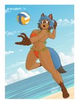 2024 4_toes 5_fingers action_pose anthro artist_logo beach big_breasts bikini blue_body blue_eyebrows blue_fur blue_hair blue_sky brand_new_animal breasts brown_body brown_eyes brown_fur brown_nose canid canine cel_shading claws clothing crotch_tuft dutch_angle eyebrows eyelashes facial_markings feet female fingers fur gloves_(marking) green_eyes grey_body grey_fur grey_highlights hair head_markings hi_res highlights_(coloring) horizon jumping leg_markings logo looking_angry mammal markings mask_(marking) michiru_kagemori midair multicolored_eyes navel open_mouth outstretched_arm plantigrade pose pupils raccoon_dog red_clothing red_swimwear red_tongue sammfeatblueheart seaside shaded signature sky socks_(marking) solo sport studio_trigger swimwear tanuki toes tongue tuft two-piece_swimsuit volleyball white_claws white_clouds white_pupils