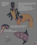 anthro bone clothed clothing egg larva ovipositor solo text tengridus arthropod insect absurd_res english_text hi_res model_sheet translated