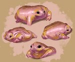 ambiguous_gender feral glistening glistening_body glistening_skin pink_body pink_skin quadruped solo wrinkles rappenem amphibian frog turtle_frog hi_res