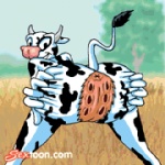 animated anthro anus back_turned balls bovine butt cattle duo female from_behind loop male multi_pussy sex sextoon straight teats udder_penetration udders what what_has_science_done
Rating: Explicit
Score: -3
User: ktkr
Date: May 08, 2010