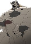 balls beard big_penis body_hair chest_hair chest_tuft erection facial_hair fur genitals glans grey_body grey_fur male masturbation muscular muscular_male nipples nude overweight overweight_male penis pubes slightly_chubby solo tuft tusks white_body negitsururu lifewonders tokyo_afterschool_summoners y'golonac_(tas) deity mammal outer_god_(h.p._lovecraft) suid suine sus_(pig) wild_boar absurd_res hi_res