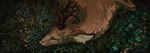 antlers black_nose brown_body brown_fur eyebrows eyelashes feral fur grass horn male plant solo geosaiko1267 deer mammal 2022 digital_media_(artwork)