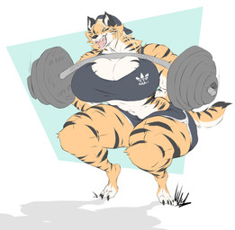 abs anthro athletic_wear backwards_hat baseball_cap big_breasts black_stripes bottomwear bra breasts cleavage clothed clothing fangs female fur gym_bottomwear gym_shorts hat headgear headwear huge_breasts muscle_tone muscular muscular_anthro muscular_female open_mouth open_smile orange_body orange_fur shorts smile solo sports_bra squats striped_body striped_fur stripes teeth thick_thighs tongue tongue_out underwear white_body white_fur wide_hips dullvivid binsa_(lewdnaut) felid mammal pantherine tiger hi_res