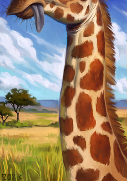 acacia_tree blue_sky brown_hair cloud feral fur grass hair long_neck markings orange_markings plant sand savanna sky solo tan_body tan_fur tongue tongue_out alexpahomov giraffe giraffid mammal 2023