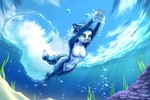 air_bubble anthro arm_tuft blue_body blue_fur blue_hair breasts dipstick_tail diving featureless_breasts featureless_crotch female fur hair markings multicolored_tail navel nude short_hair shoulder_tuft skinny_dipping solo swimming tail tail_markings tail_wraps teal_eyes tuft underwater water white_body white_fur wraps atticuskotch nintendo star_fox krystal_(star_fox) canid canine fox mammal 2021 3:2